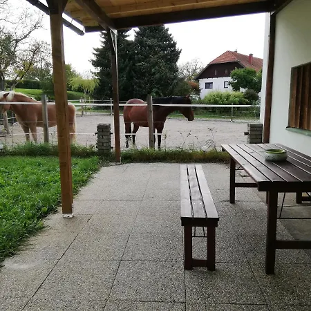 Schmied 1 Aurach am Hongar