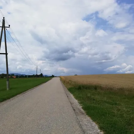 Appartement Schmied 1 Aurach am Hongar