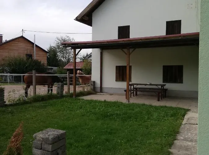 Schmied 1 شقة Aurach am Hongar