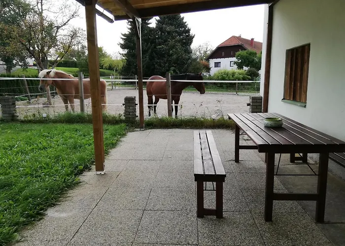 Schmied 1 Aurach am Hongar