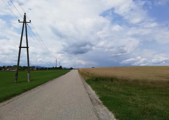 شقة Schmied 1 Aurach am Hongar